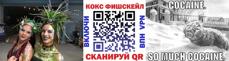COCAIN FishScale  купить наркотик  Грязи 