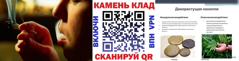Гашиш Изолятор  omg ссылки  Грязи 