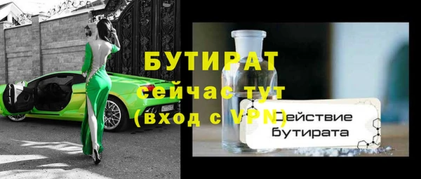 мдпв Гатчина