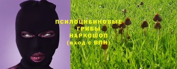 не бодяженный Пересвет