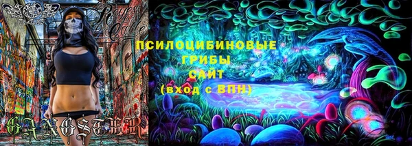 сатива Переславль-Залесский