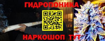 СК Бузулук