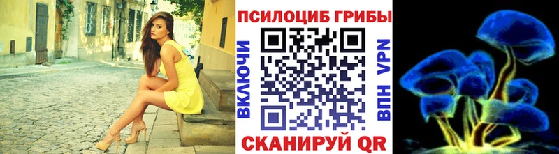 Псилоцибиновые грибы Cubensis Грязи