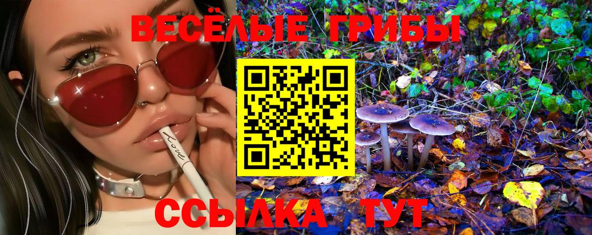 Псилоцибиновые грибы мухоморы  Грязи 