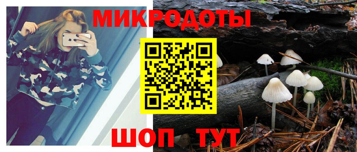 Галлюциногенные грибы прущие грибы Грязи