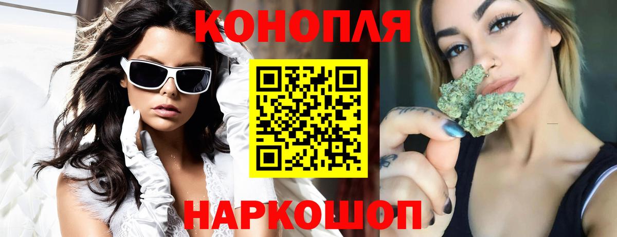 Бошки Шишки SATIVA & INDICA  Вход с VPN  Конопля White Widow  Марихуана план  Грязи 